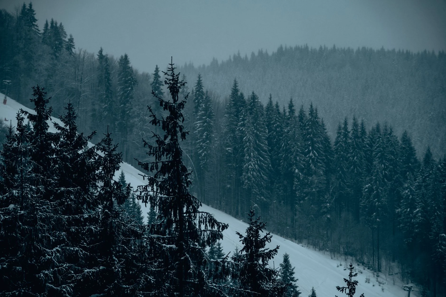 Misty winter landscape featuring a snowy slope and dense coniferous forest under overcast skies.