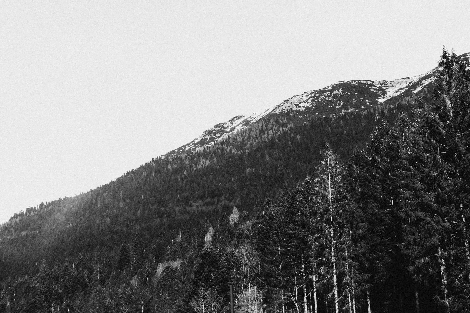 Snow-covered mountain and forest in winter, captured in black and white for a dramatic effect.