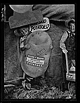 Advertisements for Maine potatoes used as decorations during the barrel rolling contest in Presque Isle, Maine