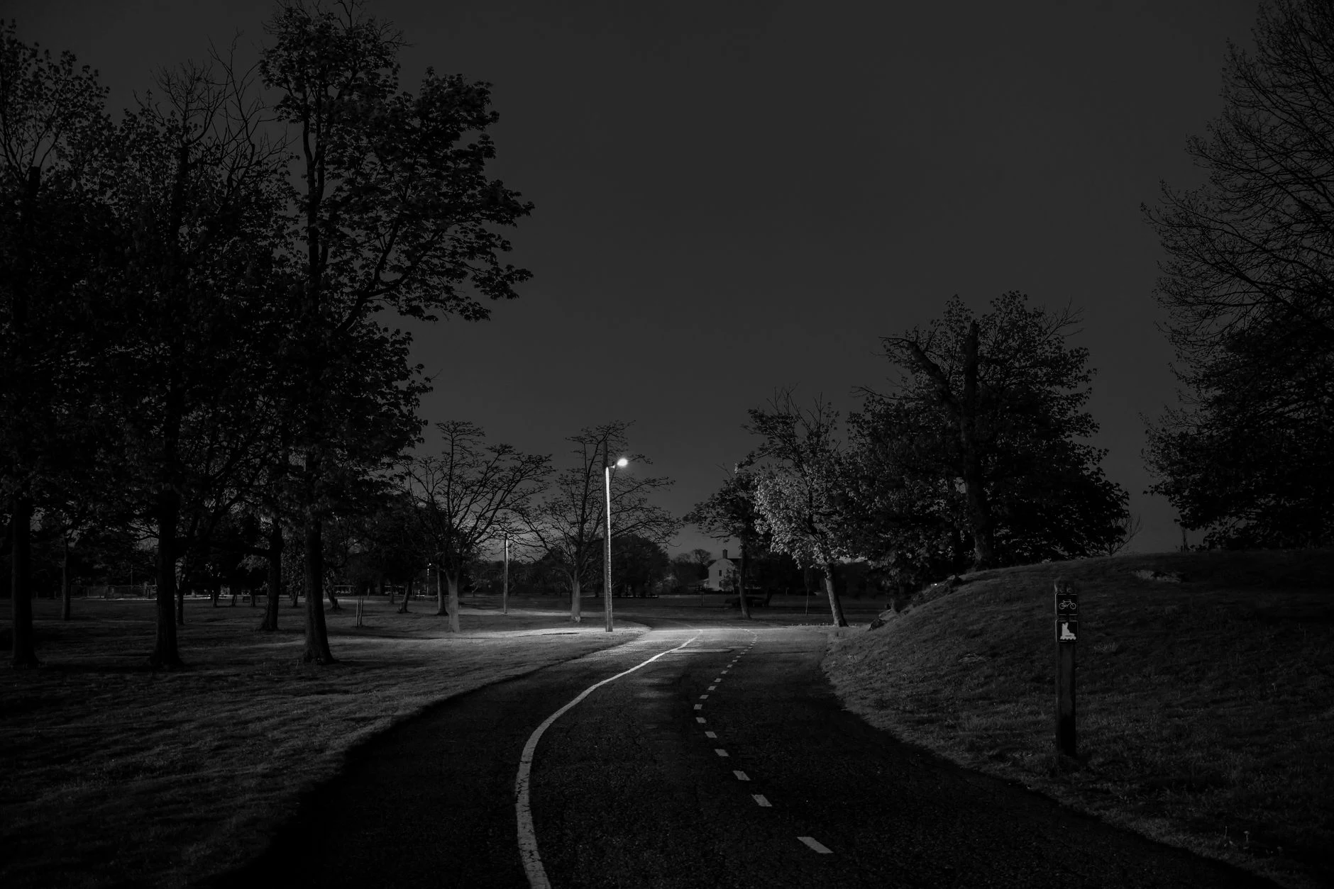 Moody black and white image of a suburban road at night with streetlights and trees in Stamford, CT.