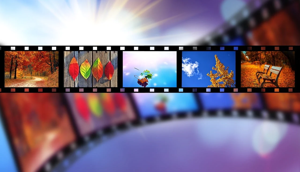 fall, nature, autumn, leaves, seasonal, movie, reel, film, cinema, entertainment, cinematography, filmstrip, theater, bokeh, action, media, hollywood, shooting, theatre, studio, video