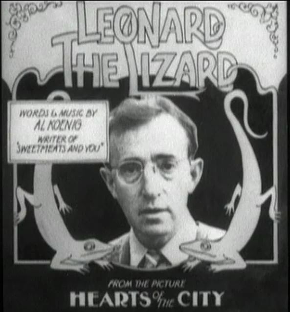Zelig poster