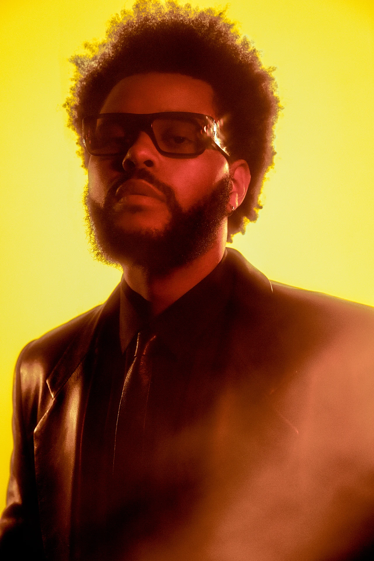 The Weeknd Portrait by Brian Ziff