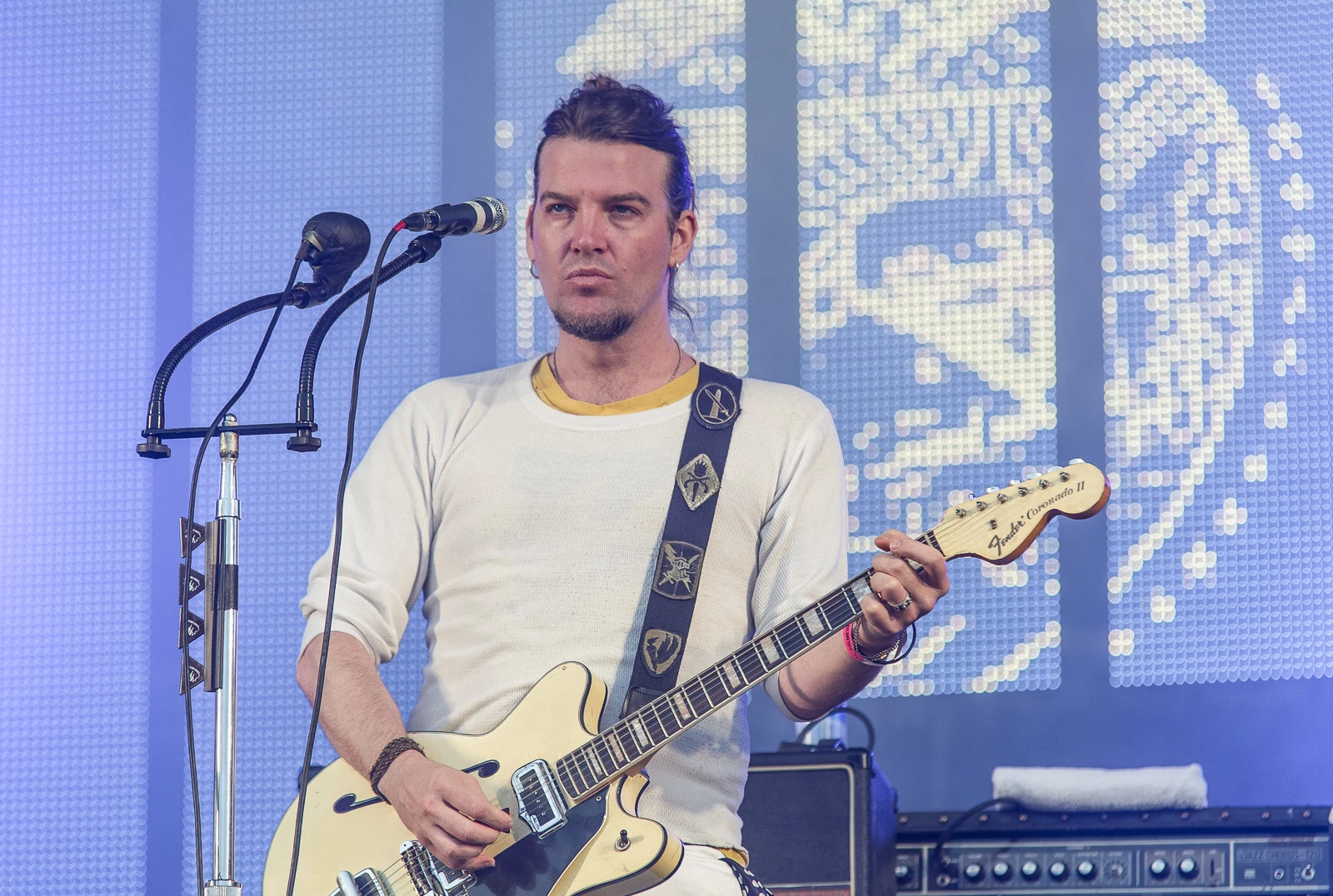 Courtney Taylor-Taylor — Palmesus 2011 - The Dandy Warhols
