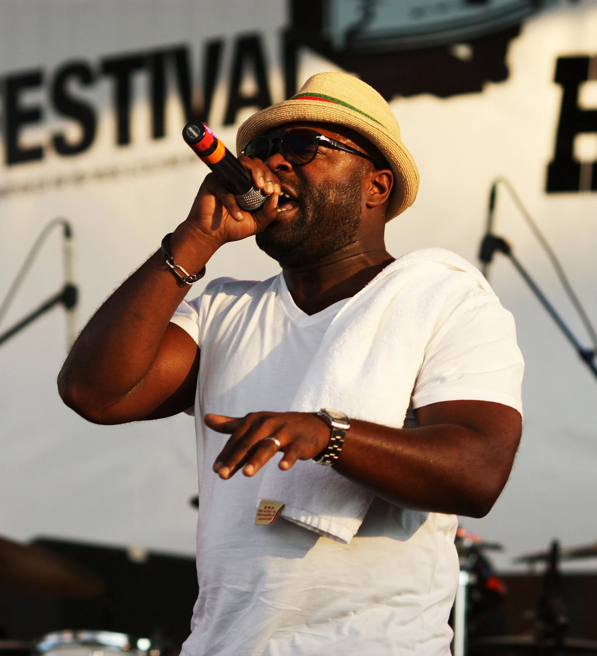 Black Thought 2011